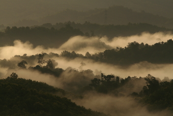 ทัวร์เขาใหญ่